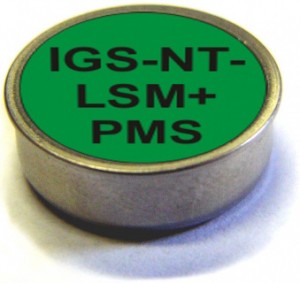 IGS-NT-LSMPMS